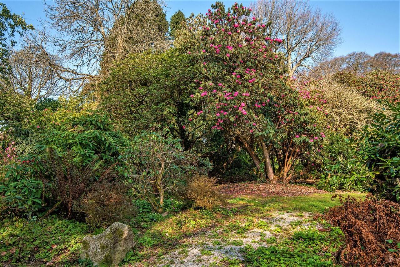 קונסטנטין Bosvathick Cottage מראה חיצוני תמונה