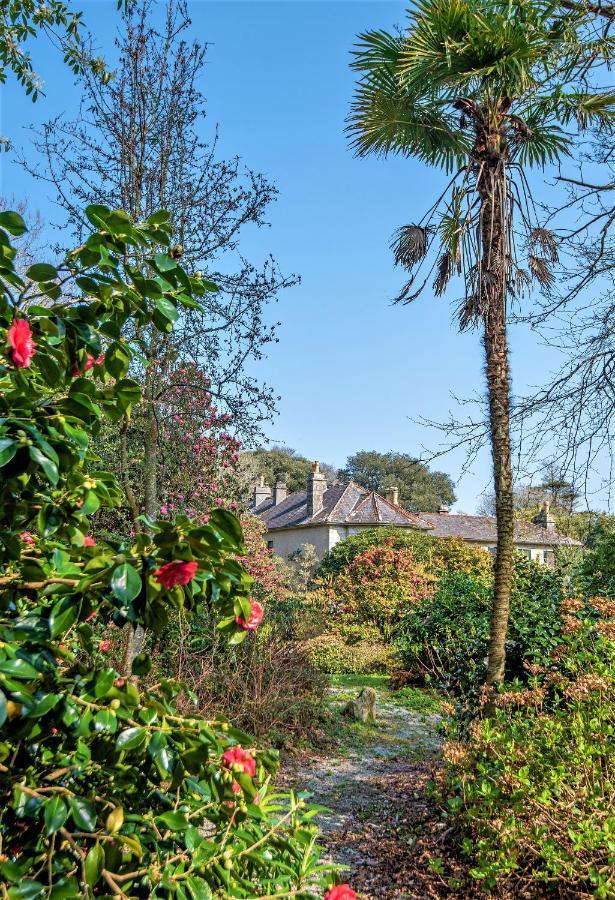 קונסטנטין Bosvathick Cottage מראה חיצוני תמונה